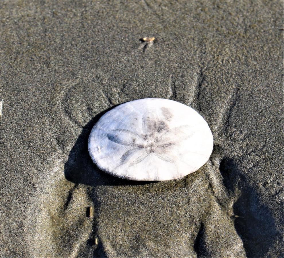 The Lowtide Motel Copalis Beach ภายนอก รูปภาพ